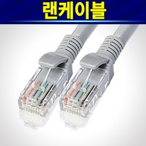 알(R)전산 인터넷선 렌선, 1개, 랜선1미터