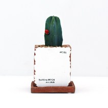 아침향기 실내공기정화식물 용신목 선인장 빈티지 화분