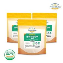해썹인증 분리유청단백분말 WPI 400g 3팩, 분리유청단백질 400g 3팩