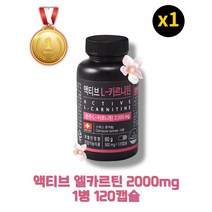 [당일출고][본사정품] 액티브 엘카르니틴 2000mg 1병 120캡슐 20일분 순수 L-카르니틴 타르트레이트 체지방억제 체중감량 체지방감소 다이어트식품 지방, 120캡슐(1box), 1개