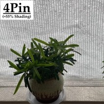 그늘막 40 55 차광 흰색 HDPE 자외선 방지 차양 그물 전망대 쉼터 야외 농업 정원 다육 식물 커버, 4Pin White+3mx8m