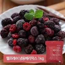 대정 냉동 베리믹스 1kg 칠레산