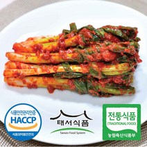 태서식품 태백고원 파김치, 10kg, 1개