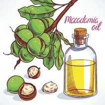 마카다미아넛 오일, 100ml