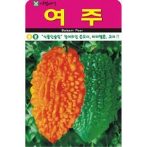 짧은 모양의 재래종 여주 씨앗 10립