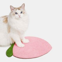 고양이 벽에 붙이는 복숭아 벽스크래쳐모몽134691, 벽 복숭아스크래쳐
