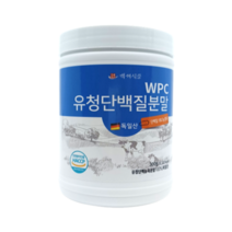 WPC 유청단백질 분말 300g 독일산100% HACCP 인증제품, 4통