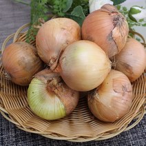햇양파(대)15kg 1박스 자연대로팜웨이, 양파(대)15kg