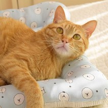마벨러스홈데코 여름 풍기 인견 강아지 고양이 방석 애견 쿠션 켄넬 사각 쿠션 개방석, 핑크 비숑