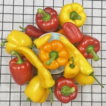 국내산 파프리카 미니파프리카 바나나파프리카 빨간 노랑 주황 피망, 파프리카 2kg 선물용