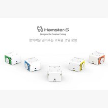 초중고 코딩 프로그램 실습 무선 햄스터S 로보트 과학키트, 그린