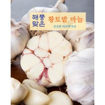 서산마늘 3kg 중 대 특 햇마늘 황토밭 대서마늘 산지직송, 대 3kg, 1개