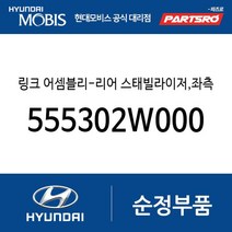 링크 어셈블리-리어 스태빌라이저 좌측 (555302W000) 맥스크루즈 올뉴 싼타페 싼타페 더 프라임