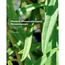 Monarch (Danaus plexippus) Metamorphosis Paperback, Blurb, English, 9781715834760