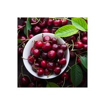 칠레산 생 체리 500g 10row 2개 구매시 1.2Kg 발송, 칠레산 생 체리 500g (10row) (2
