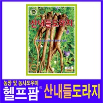 헬프팜 슈퍼도라지 5g 씨앗 성우종묘 종자