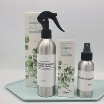 SELLERHUBSHOP 킴스허브 피톤치드 유칼립투스 퍼퓸 스프레이100ml, 색상:100ml
