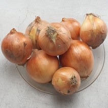 산지직송 무안양파 3kg 5kg 10kg 혀니러쉬, 02_양파5kg