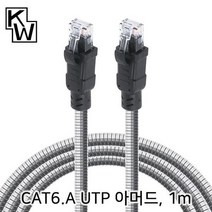 모비딕파워 [모비딕파워] 렌케이블 서버실LAN케이블 랜 UTP 랜케이블연장 LAN, 아★ CAT.6A UTP 기가비트 아머드 랜 케이블 1, [좋습니다]