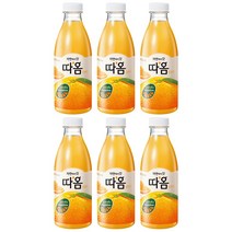 빙그레 따옴 오렌지 730ml 6개, 따옴 오렌지 730ml, 6개