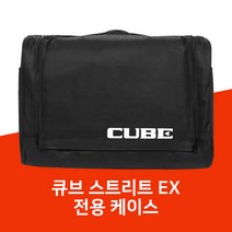롤랜드 큐브스트리트 EX 다용도 앰프 Cube Street-EX