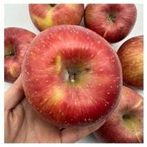 가정용 꿀사과 10kg 못난이 흠집 홍로 부사과 진맛깔