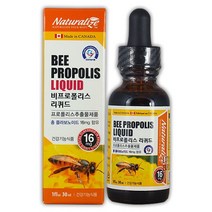 비염에 좋은 프로폴리스 입안 잇몸 염증 입안이 헐었을때 만성염증 면역력높이는 비프로롤리스 리퀴드