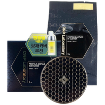 CNP 차앤박 프로폴리스 앰플 인 쿠션 본품 + 리필 커버력좋은 광채쿠션, 1개, 23호 내추럴 베이지 본품 + 리필