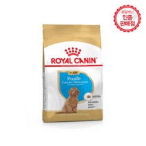 로얄캐닌 푸들 퍼피 1.5kg x 2개 강아지사료, 단품