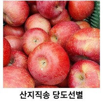 [산지직송] 밀양 얼음골 사과 부사 5KG 10KG 당도선별 아삭한 식감 GAP인증 선물용 가정용 건강 APPLE, 13과