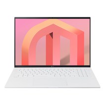LG전자 그램 16ZD95Q-GX56K [1280GB 16GB], Free DOS, 화이트, 1280GB, 코어i5, 16GB