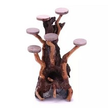 구피 악세사리 금붕어 부화통 1pc 수족관 수조 조경 장식 나무 접합 작은 나무 물 잔디 풍경 장식품 재료 액세서리, 1