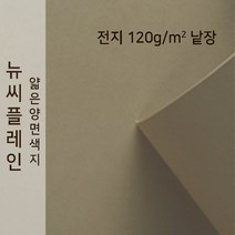 뉴씨플레인 종이문화 얇은 양면색지 120g 전지 낱장 1매 No.57 황회, 1장