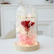 프리저브드 플라워 무드등 LED 유리돔 카네이션레드