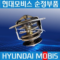마이티 써머스텟 써모스텟 썸머스타트 2551045501, 1개