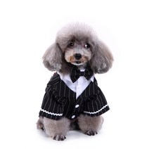 HALOKAIYA 애완동물 드레스 강아지 양복 연미복 결혼 예복 중/소형견 고양이 나비넥타이 넥타이 멋지다 복장-04, 01