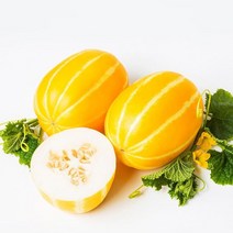 신선코리아 성주참외 산지배송 고급 선물용 참외4kg, 쿠팡 1, 쿠팡 본상품선택
