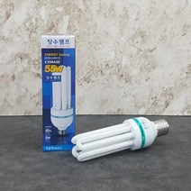 BK장수 55W 삼파장 전구 (주광색) EFQU55EX-D E-39, 본상품