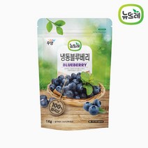 뉴뜨레 냉동블루베리 1kg 칠레산 세척블루베리, 뉴뜨레 냉동블루베리홀 1kg 칠레산