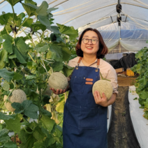 추석 과일 농장에서 직접 발송하는 고당도 머스크 멜론, 1박스, 8kg(4수)