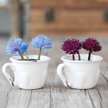 DJAGSO 칼라 선인장 조화 2color, 블루