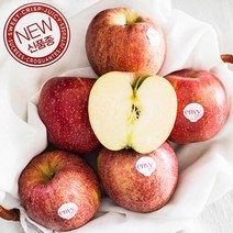 다온푸드 맛있는 엔비사과 2.5kg(7~10과), 단품없음