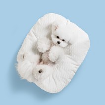 뭉연구소 쫀득 강아지 방석 고양이 애견 반려견 쿠션