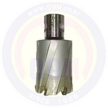 브럿치컷터(LONG) 46 X 50 TCT (AGP) /견적문의/제품문의/배송문의: 1544-0984