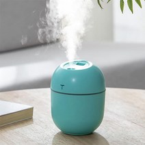 공기청정기 분무 플러스 가정용 usb 컬러풀 포토 무드등가습기, T04-백악 소석회 온열가습기 핑크색