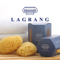 [건조클립증정] 그리스산 라그랑 천연해면 스펀지 - XL SIZE, 1개