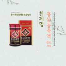 천제명 홍삼농축액골드 240g 홍삼정 풍기홍삼, 단품