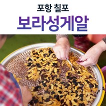 산지직송 포항 성게알 우니 보라성게 500g 1kg, 자연산보라성게알_500g