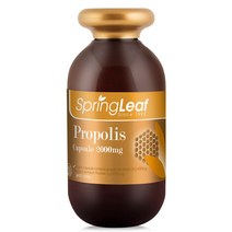 스프링리프 프로폴리스 Propolis 2000mg 365캡슐