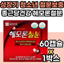 키즈 철분제 헴철 해조칼슘 데두레시틴 엽산 비타민B군 철분 보충 영양제 푸마르산제일철 엽산 출산후 임산부 수유부 약국 홈쇼핑 30대 가임기 여성 여자 임신 준비 건강기능식품